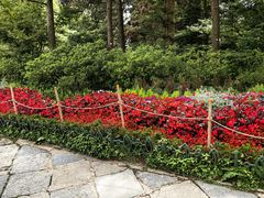 -庐山风景区花径公园