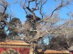 -沈阳市东陵公园