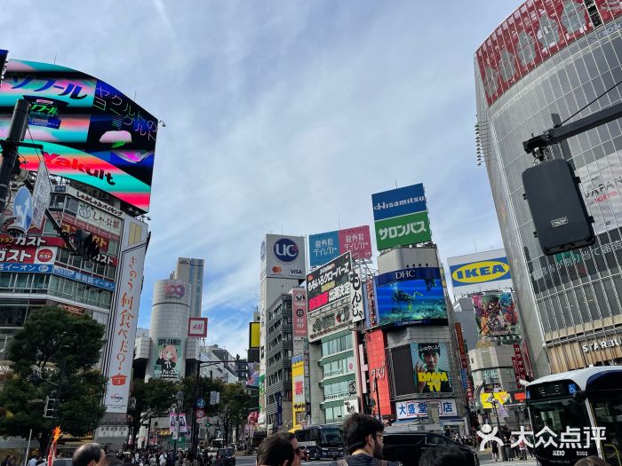 涩谷区图片