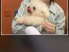 -伽利略剧本探案馆(国贸店)