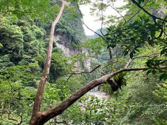 -太鲁阁公园