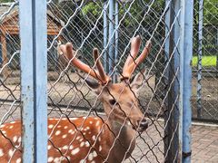 -长白岛森林公园