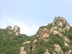 -大岭沟猕猴桃谷风景区