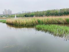 -前关湿地公园