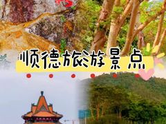 -陶缘一号·四季缘·老字号顺德菜·户外婚礼家宴(西滘店)