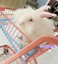 -Moni星球萌宠·小马宝莉·灵蛇·高端高阶全萌宠互动体验俱乐部(红豆国际广场店)