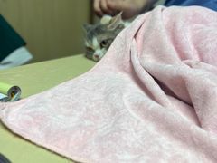 -宠颐生宠物医院外科·内科·皮肤科·影像科(石龙店)