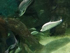 -临沂极地海洋王国