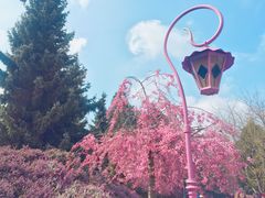 -巴黎迪士尼乐园