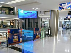 -红星美凯龙(上海沪南店)