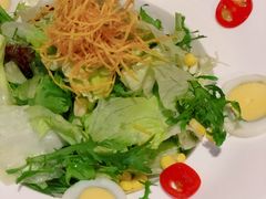 蔬菜沙拉-福匠日本料理(人民路店)