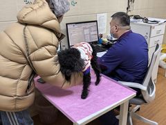 -北京观赏动物医院·24小时大型综合·猫专科·异宠专科