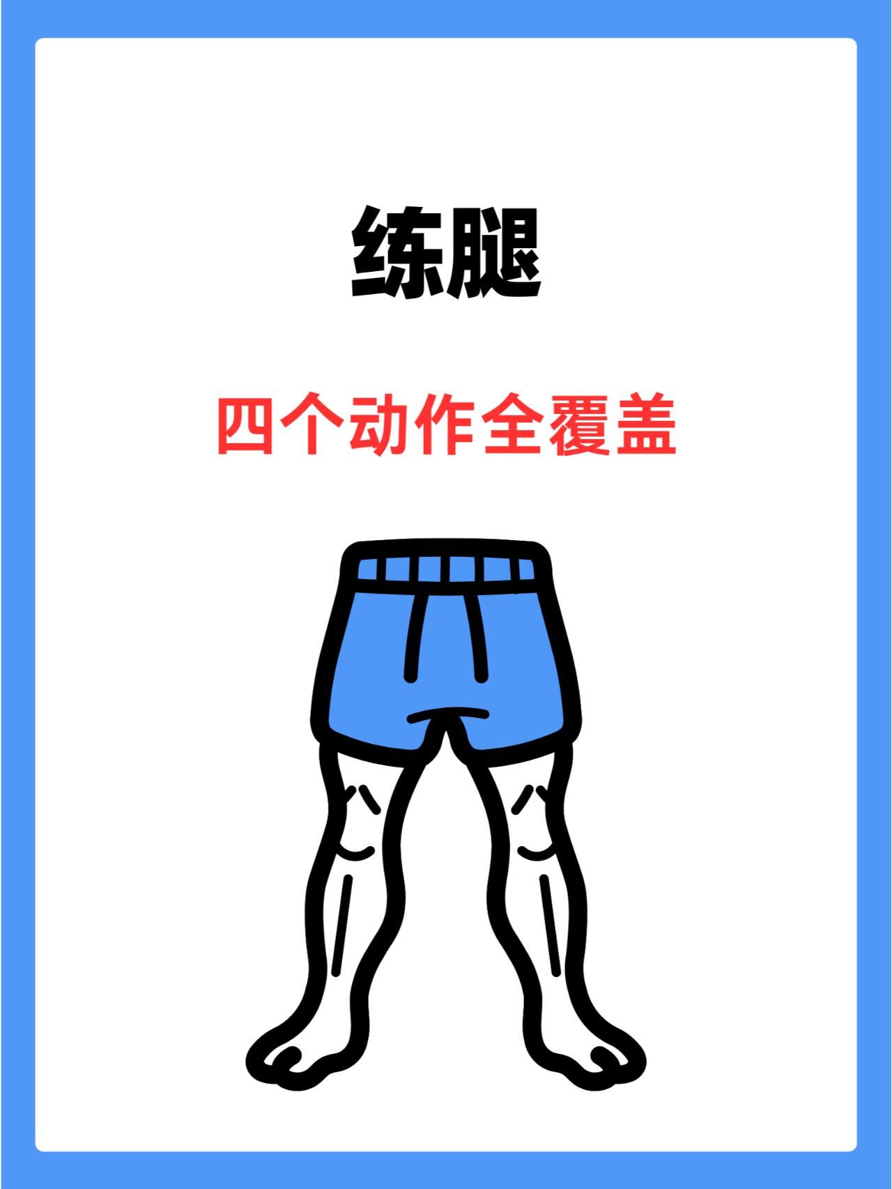 练腿的基本动作 腿部肌肉主要有