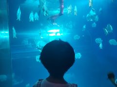 -太平洋海底世界博览馆·展览厅