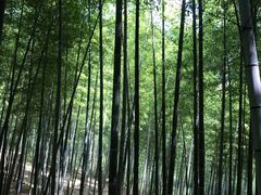 -陶祖圣境风景区