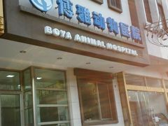 -纳吉亚猫专科动物医院博雅分院