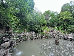 -伯先公园