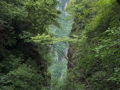 -王莽岭风景区