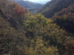 -蟠龙山长城景区