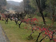 -宜兴龙背山森林公园
