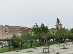 -大连市妇女儿童医疗中心