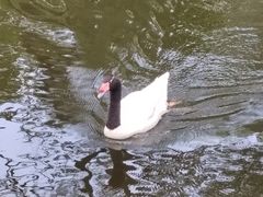 -秦皇岛野生动物园