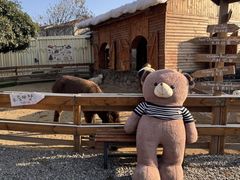 -HERRE·FARM 赫尔露营农场·团建聚会包场