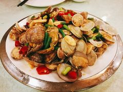 -味到1981日照海鲜·渔饺子