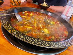 -三道苗苗鱼·美蛙黄辣丁(八里店)