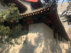 -中央民族大学