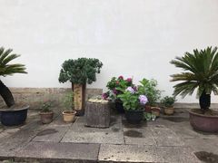 -蔡元培故居