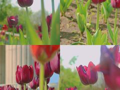 -长春公园(普阳街道)