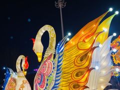 -北戴河集发农业梦想王国