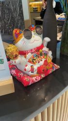 -京世沙龙