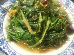 凉拌沙葱-真食净香居·内蒙烧麦(亚运村店)