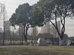 -九里河湿地公园