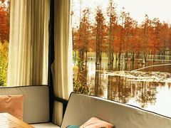 -白鹭湾湿地公园