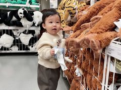 -宜家家居(哈尔滨商场店)