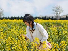 -汉长安城未央宫国家考古遗址公园