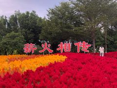 -厦门园林博览苑