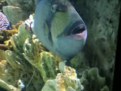 -福州罗源湾海洋世界旅游区