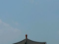-白洋淀景区