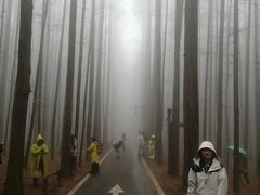 -山王坪喀斯特国家生态公园