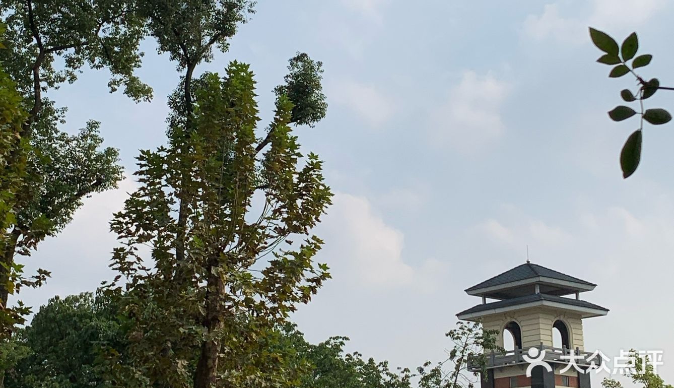 成都旅游|川大晒太阳攻略
