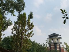 -四川大学(望江校区)
