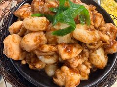 -丁老爷子苏香圆