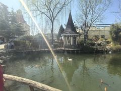 -天毓山庄·餐厅