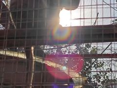 -南昌动物园