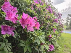 -宜兴龙背山森林公园