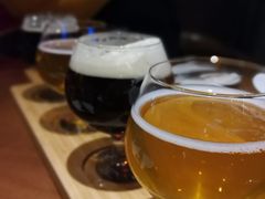 啤酒-熊猫精酿啤酒厨房(1912店)
